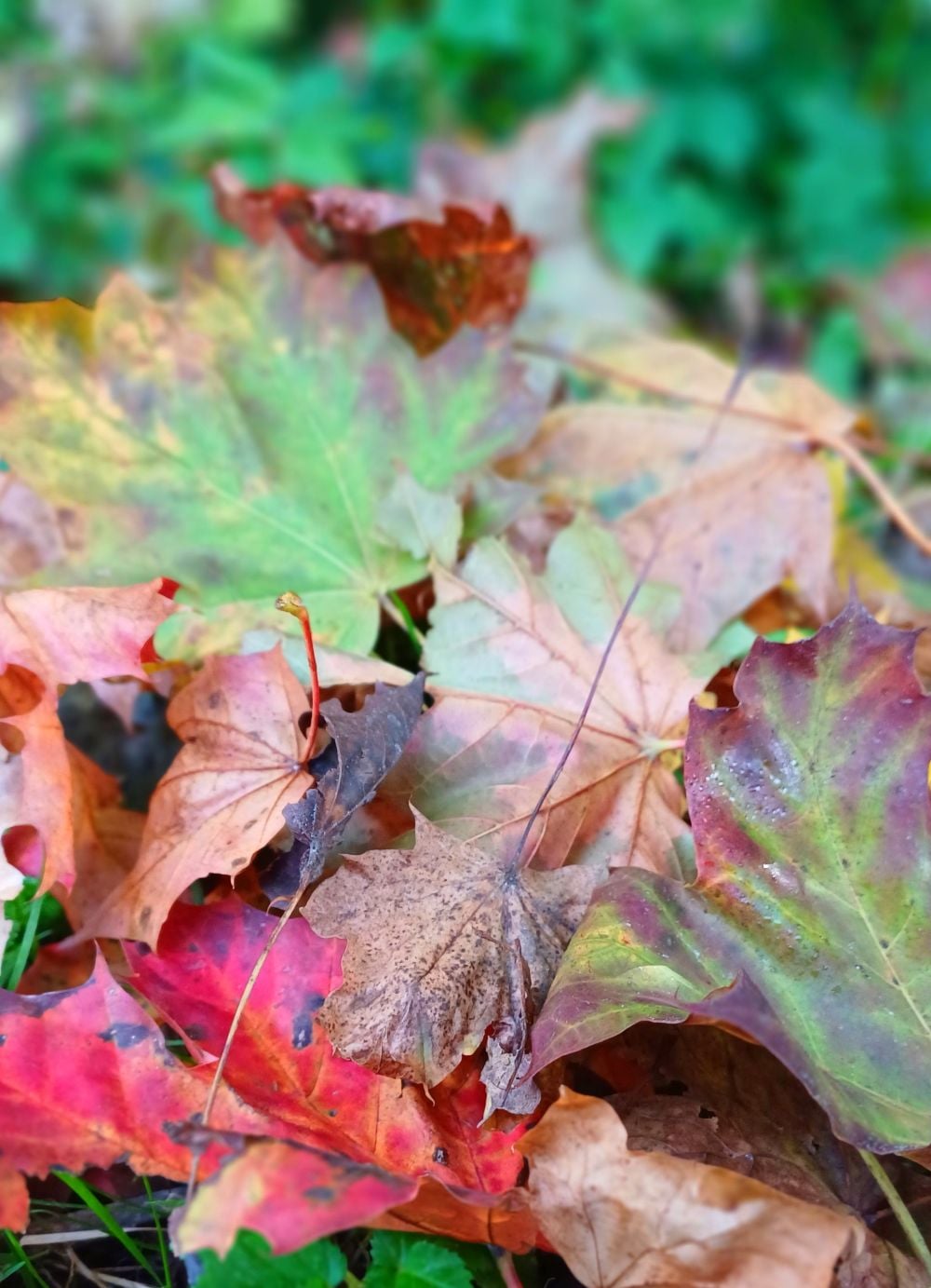 Det er okay at bede om en pause Det er okay at bede om en pause