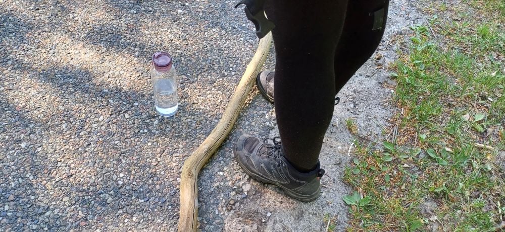 Vores smukke Moderjord