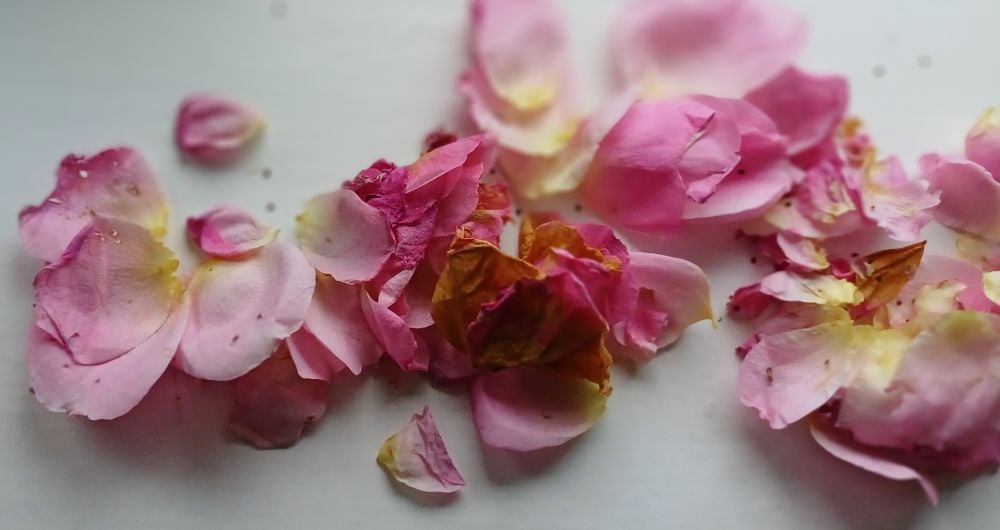 Lysfestvandring for gudinden Ceres Lysfestvandring for gudinden Ceres