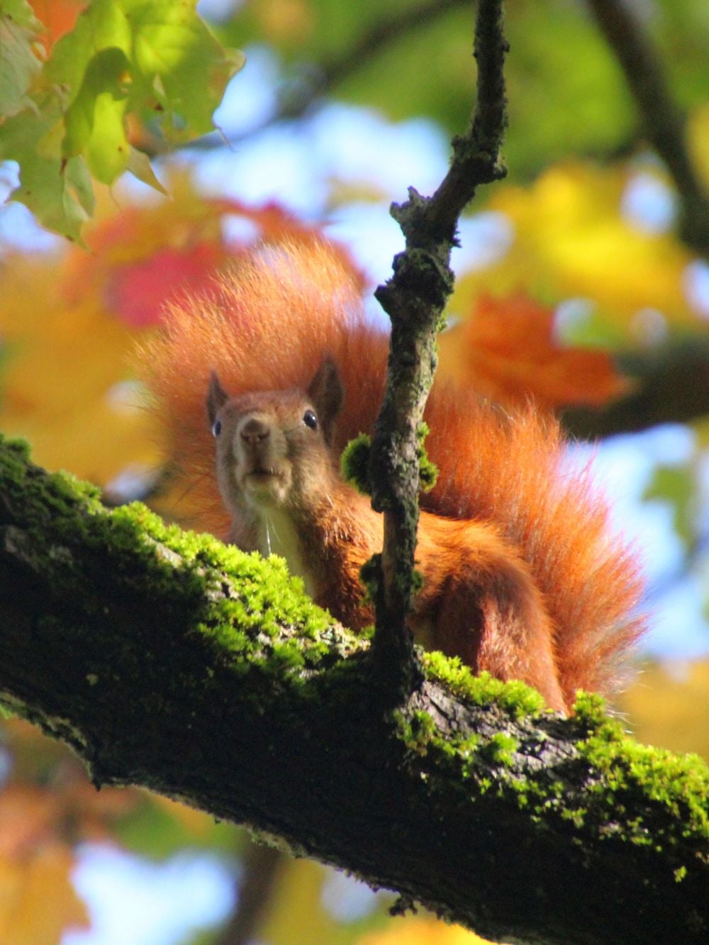 Det er okay at bede om en pause Det er okay at bede om en pause