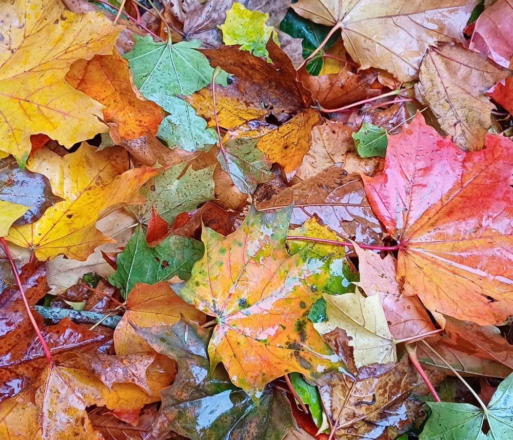 Størst er kærligheden